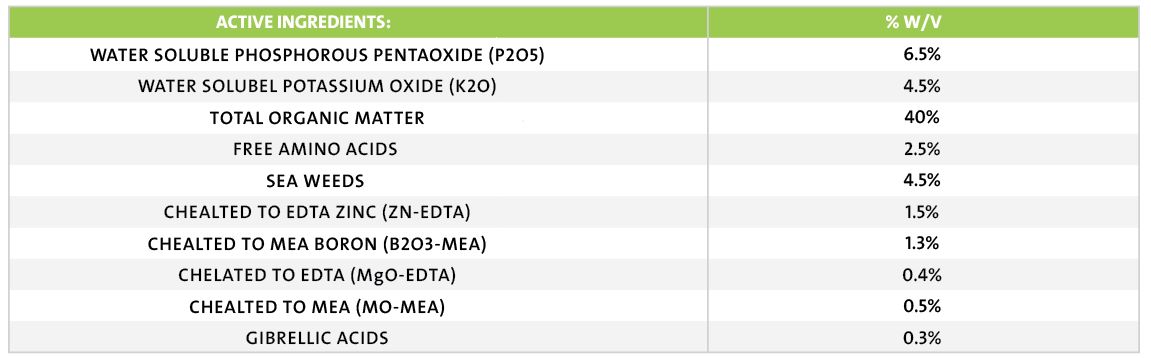 %D8%B5%D9%88%D8%B1%D8%A9 %D9%88%D8%A7%D8%AA%D8%B3%D8%A7%D8%A8 %D8%A8%D8%AA%D8%A7%D8%B1%D9%8A%D8%AE 2023 04 05 %D9%81%D9%8A 06.28.34